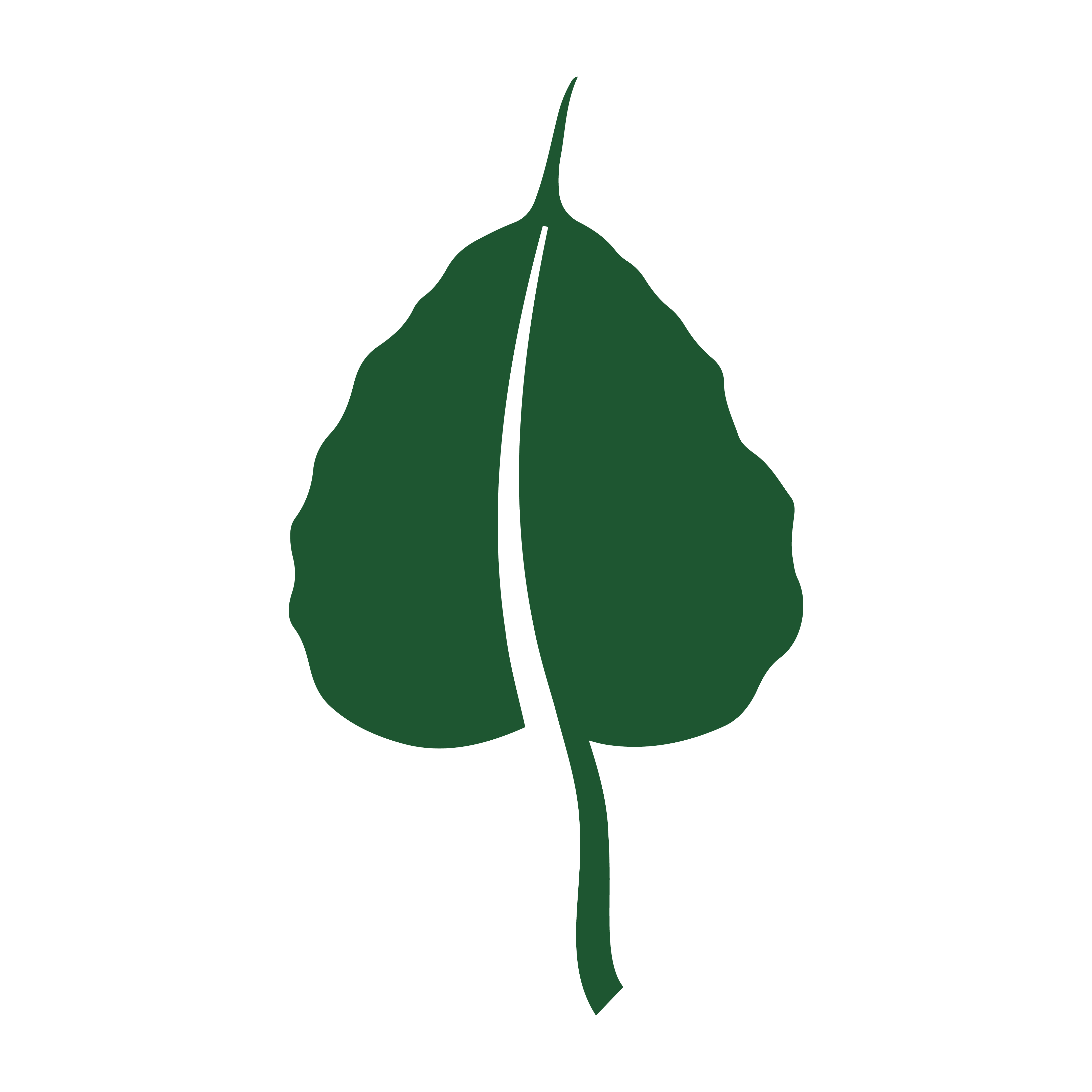 Bhavani Sakthi Peetam Logo